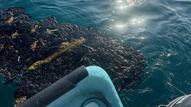 Chapapote en costa de Alvarado